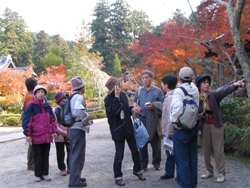 �������W���ʐ^