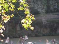 �������@�r