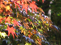 �������@�r