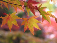 �������R��